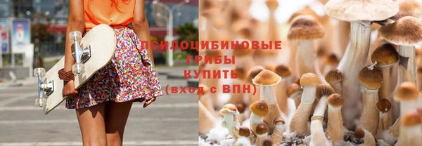 a pvp Киренск