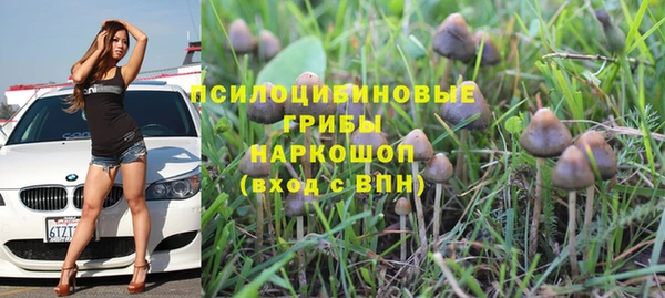 a pvp Киренск