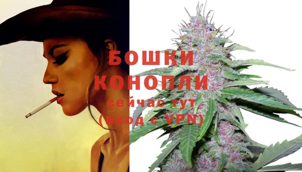 твердый Кинешма