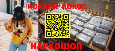 мдпв Кингисепп