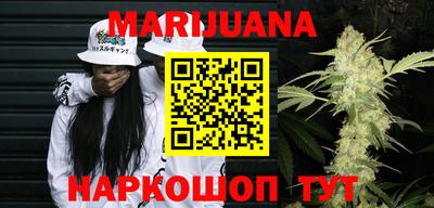мдпв Кингисепп