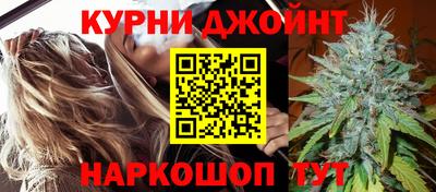 мдпв Кингисепп