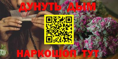 мдпв Кингисепп