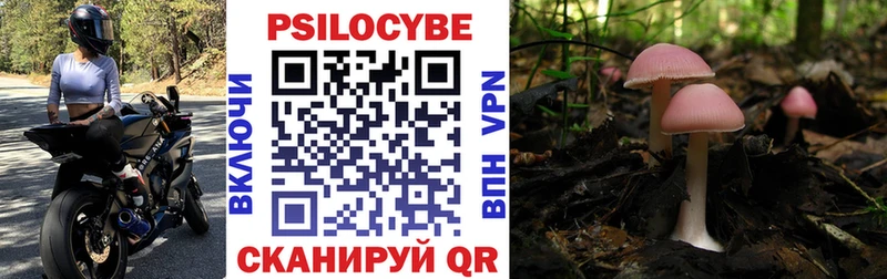 Псилоцибиновые грибы Psilocybine cubensis  mega tor  Нефтеюганск 
