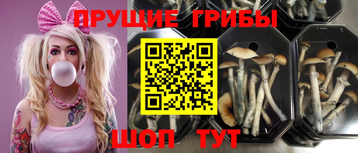Галлюциногенные грибы ЛСД Нефтеюганск